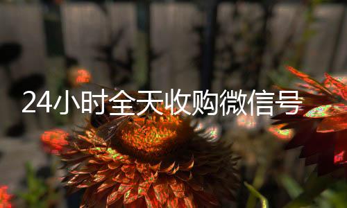 24小时全天收购微24小时高价回收vx信号（出售微信24小时在线回收）